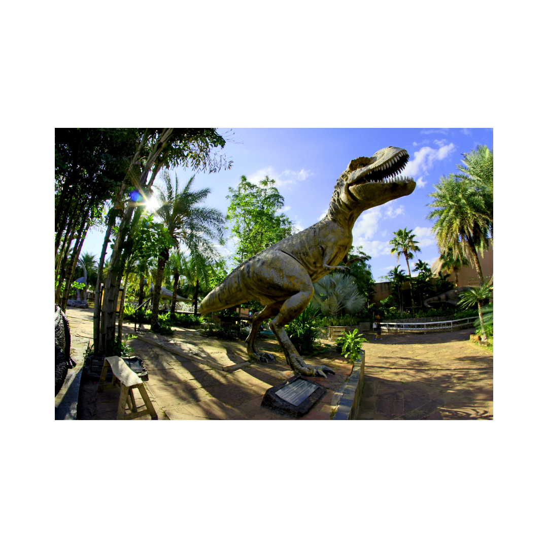 公式アンバサダー日向坂46小坂菜緒は恐竜科学博にいつか来るのか 坂道ミーグリ芸能エンタメ